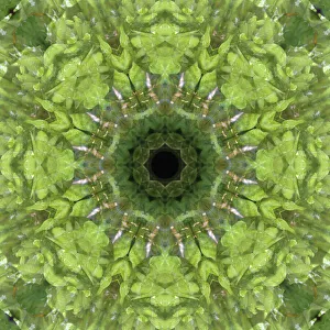 Images Dated 21st October 2019: Colorful kaleidoscope
