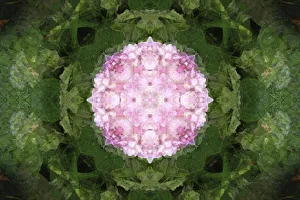 Images Dated 21st October 2019: Colorful kaleidoscope