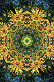 Images Dated 21st October 2019: Colorful kaleidoscope