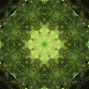 Colorful kaleidoscope