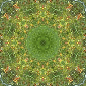 Images Dated 21st October 2019: Colorful kaleidoscope