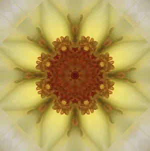 Images Dated 21st October 2019: Colorful kaleidoscope