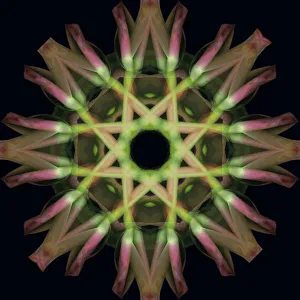 Images Dated 21st October 2019: Colorful kaleidoscope
