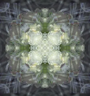 Images Dated 21st October 2019: Colorful kaleidoscope