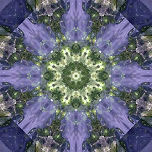 Images Dated 21st October 2019: Colorful kaleidoscope