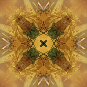 Images Dated 21st October 2019: Colorful kaleidoscope