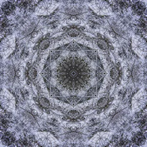 Images Dated 2019 October: Colorful kaleidoscope
