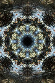 Images Dated 2019 October: Colorful kaleidoscope