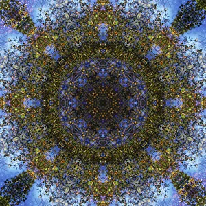 Images Dated 2019 October: Colorful kaleidoscope