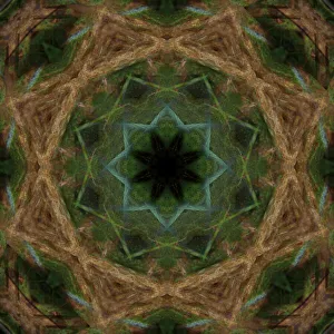 Images Dated 2019 October: Colorful kaleidoscope