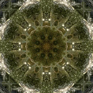 Images Dated 2019 October: Colorful kaleidoscope