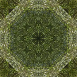 Images Dated 2019 October: Colorful kaleidoscope