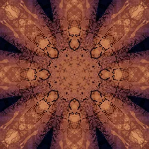 Images Dated 2019 October: Colorful kaleidoscope