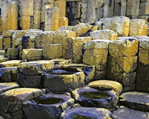 Basalt Column Prints: Colorful lichen forms on the basalt columns at the Giants Causeway, Antrim Coast