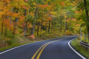 Images Dated 3rd October 2008: Colorful maple trees in autumn line scenic Highway 41 as it leads into Copper Harbor
