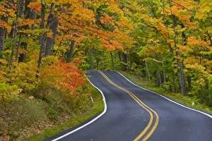 Winding Road Prints: Colorful maple trees in autumn line scenic Highway 41 as it leads into Copper Harbor