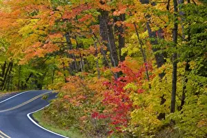 Colorful maple trees in autumn line scenic Highway 41 as it leads into Copper Harbor