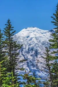 Prints of Colorful pine trees, Mount Rainier, Crystal Mountain lookout, Pierce County, Washington State, Usa Images Dated 2024 April: Colorful pine trees, Mount Rainier