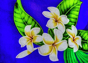 Images Dated 24th January 2024: Colorful Polynesian textile, Waikiki, Honolulu, Oahu, Hawaii