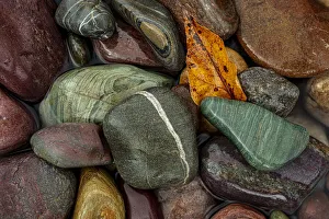 Images Dated 2nd November 2020: Colorful river rocks along the Middle Fork of the Flathead River in Glacier National Park