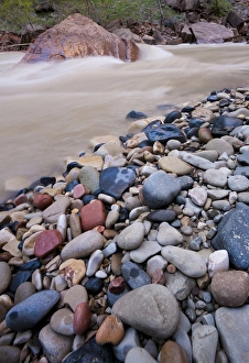 Rush Prints: Colorful rocks on the edge of the rushing Virgin River, Zion National Park, Utah, USA