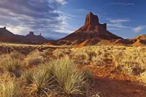Castle Valley Prints: Colorful rocks and grasses in early morning light by Parrott Mesa near Moab, Utah, USA