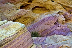 Images Dated 24th March 2018: Colorful rocks, Rainbow Vista, Valley of Fire State Park, Overton, Nevada, USA