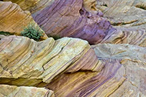 Images Dated 24th March 2018: Colorful rocks, Rainbow Vista, Valley of Fire State Park, Overton, Nevada, USA