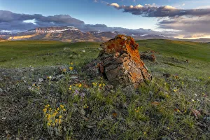 Augusta Prints: Colorful scattered moraine with Castle Reef along the Rocky Mountain Front near Augusta