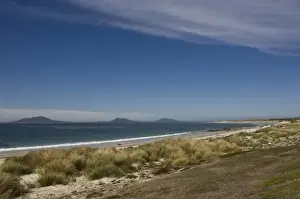 Keppel Island Prints: Colorful scene of Keppel Island, the north coast of West Falkland, Falkland Islands