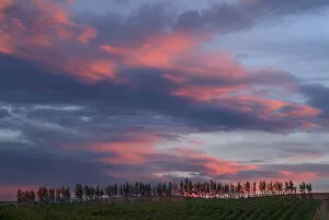 A colorful sunset overlooking the vineyards at Seven Hills Vineyard outside of Walla Walla