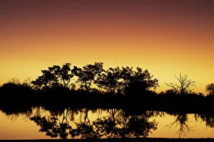 Lighting Prints: Colorful sunset at watering hole. Camelthorn Lodge. Hwange National Park. Zimbabwe