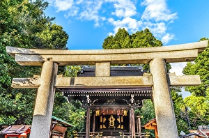 Images Dated 7th December 2024: Colorful Tori, Yasaka Shrine, Kyoto, Japan. Shine established 656 AD