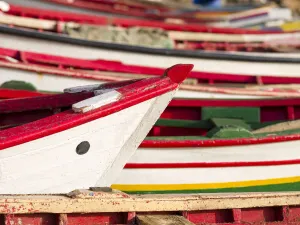 Transportation Prints: Colorful traditional fishing boats at the historic waterfront