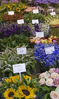 Images Dated 6th September 2007: A colorful variety of flowers at the Bloemenmarket
