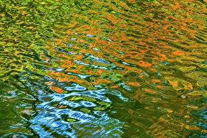 Images Dated 27th November 2023: Colorful water reflection, Furuichi Kofungun