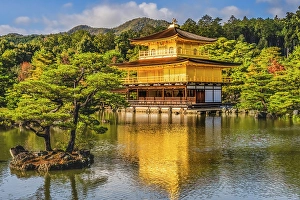 Zen Buddhism Prints: Colorful water reflection, Kinkaku-Ji (Rokuon-Ji) golden pavilion