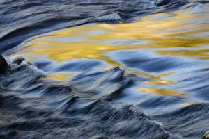 Tranquil Scene Prints: Colors reflected on flowing water, Firehole River, Midway Geyser Basin near Old Faithful