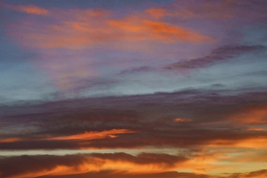 Rio Grande Valley Prints: Colors at sunrise, Bosque del Apache National Wildlife Refuge, New Mexico