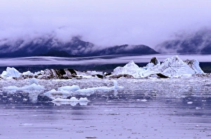 Kristin Piljay Prints: Columbia Glacier, Prince William Sound, Alaska