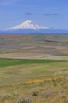 Images Dated 26th April 2016: Columbia Hills State Park, Dallesport, Washington