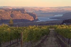 Images Dated 3rd July 2007: Columbia River seen from Cave B vineyards in Grant County, Washington, USA