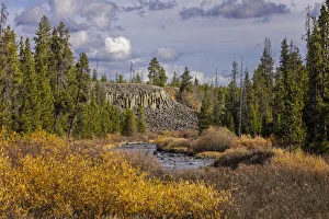 Willow Prints: Columnar basalt formation at Sheepeater Cliffs, Yellowstone National Park, Wyoming