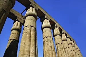 Images Dated 31st January 2006: Columns, Luxor Temple, Luxor, Egypt