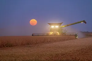 Harvest Prints: Combine harvesting soybeans as full moon rises (harvest moon)