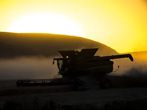 Palouse Prints: Combine harvesting at sunset