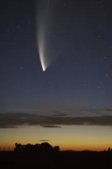 Images Dated 24th January 2007: Comet McNaught, Ashburton, South Island, New Zealand