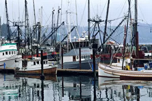 Images Dated 3rd January 2006: Commercial fishing boats docked at Newport on the Oregon Coast. commercial