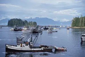 Chum Salmon Prints: commercial sien fishing vessels returning to off load chum or dog salmon