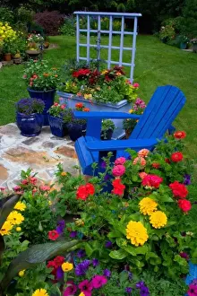 Zinnia Prints: Container Garden design with blue chair in our Garden Sammamish, Washington